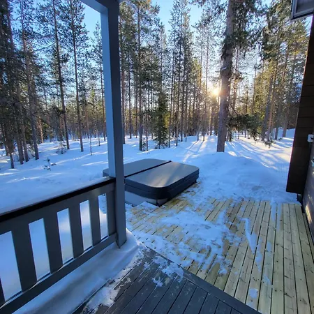 Alpine Eagle Ski-in Ski-out By Aavalevi Appartement *