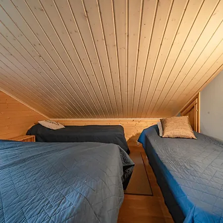 Alpine Eagle Ski-in Ski-out By Aavalevi *